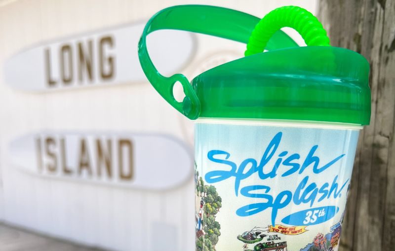 Guests racing down slide!